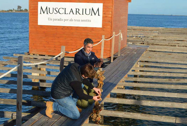 Shellfish gathering Boys gathering fresh shellfish